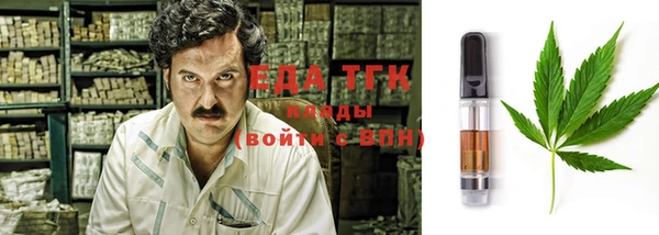 твердый Ельня
