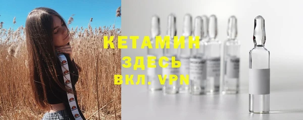 прущие крисы Дмитриев